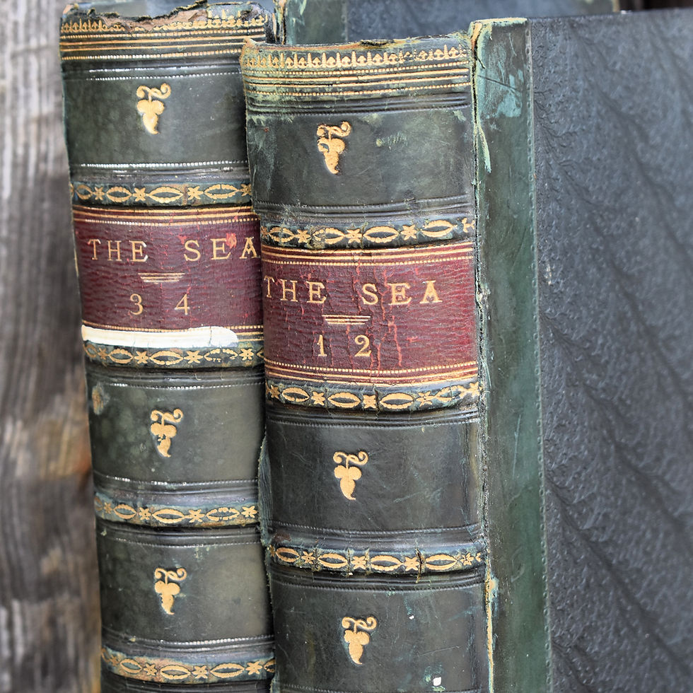Thumbnail: Antique 1880 The Sea Adventure Peril Heroism F Whymper Leather Books Two Volumes