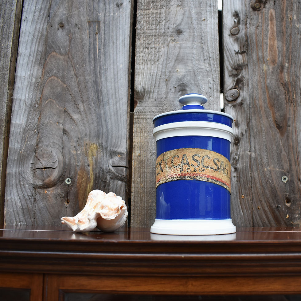Thumbnail: Antique Parke Davis & Co Blue & White Ceramic Apothecary Chemist Storage Jar