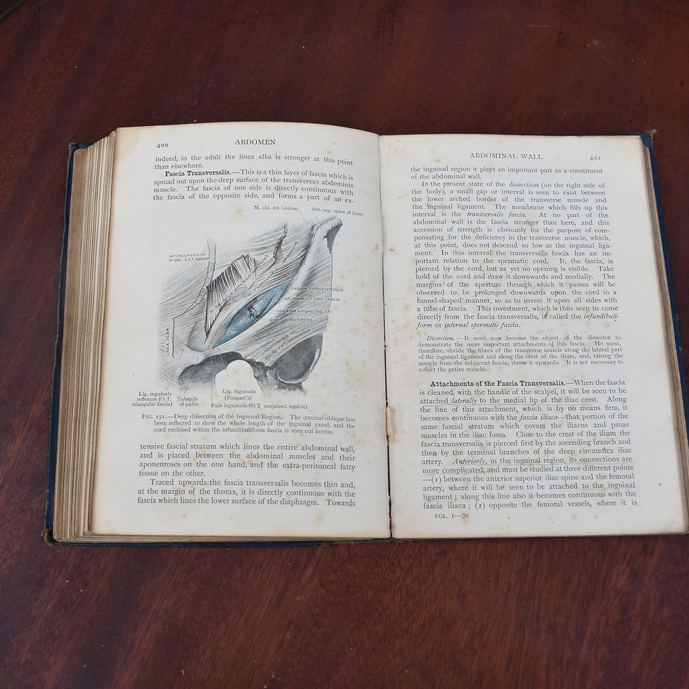 Thumbnail: Antique 1912 Cunningham's Manual of Practical Anatomy Dr George Balsillie Book