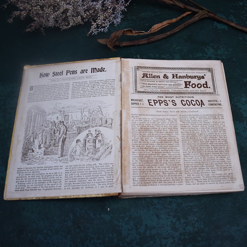 Thumbnail: Antique 1898 Bright Eyes Annual Young Folk Illustrated Children's Hardback Book