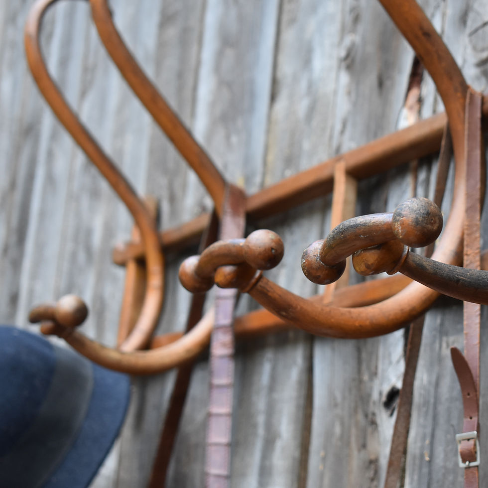 Thumbnail: Antique French Beech Bentwood Thonet Style Large Wall Coat Hooks Hat Rack