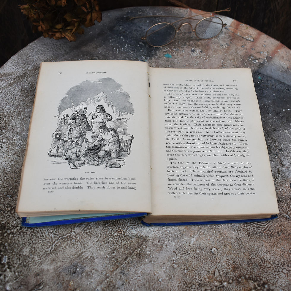 Thumbnail: Antique 1882 In The Polar Regions Crookston St School Glasgow Prize Book