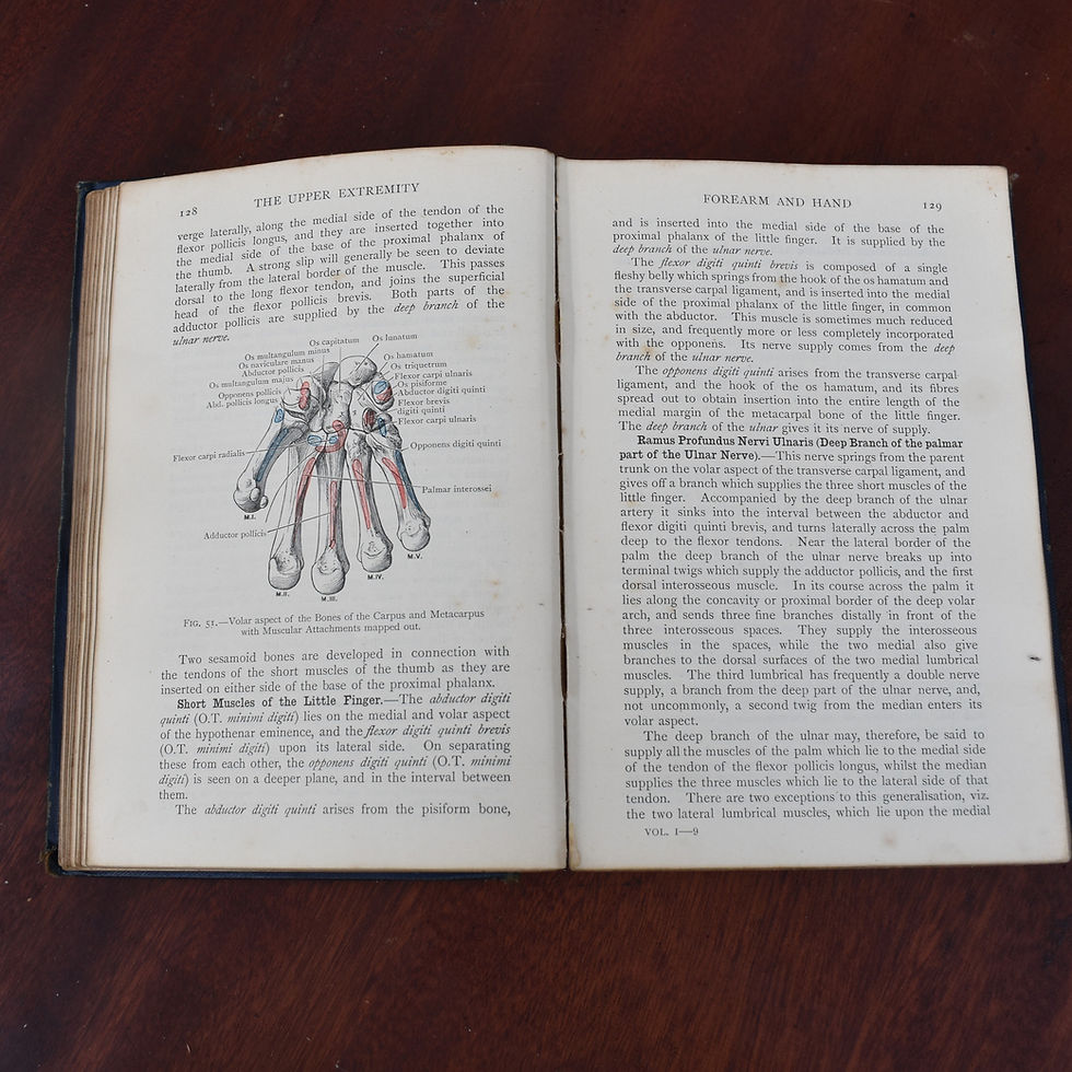 Thumbnail: Antique 1912 Cunningham's Manual of Practical Anatomy Dr George Balsillie Book