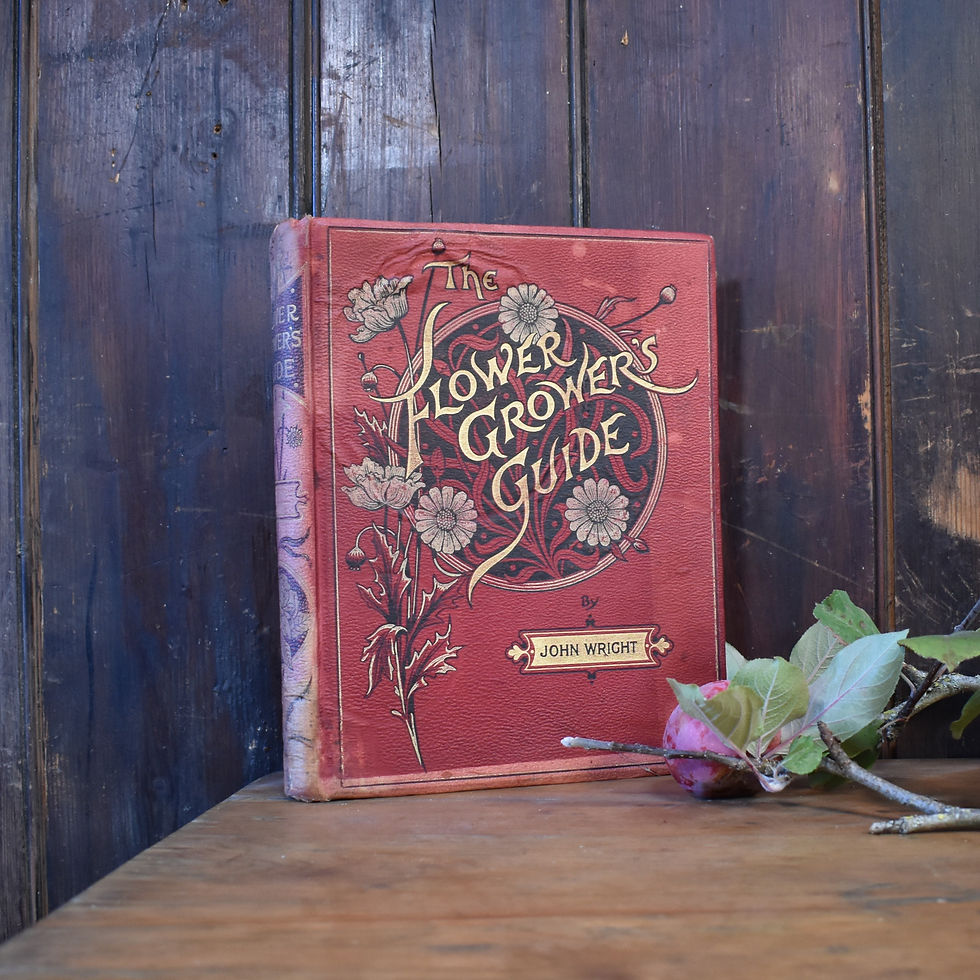 Thumbnail: 1897 Flower's Guide Book John Wright Colour Illustrations Red Cloth Cover Vol 3