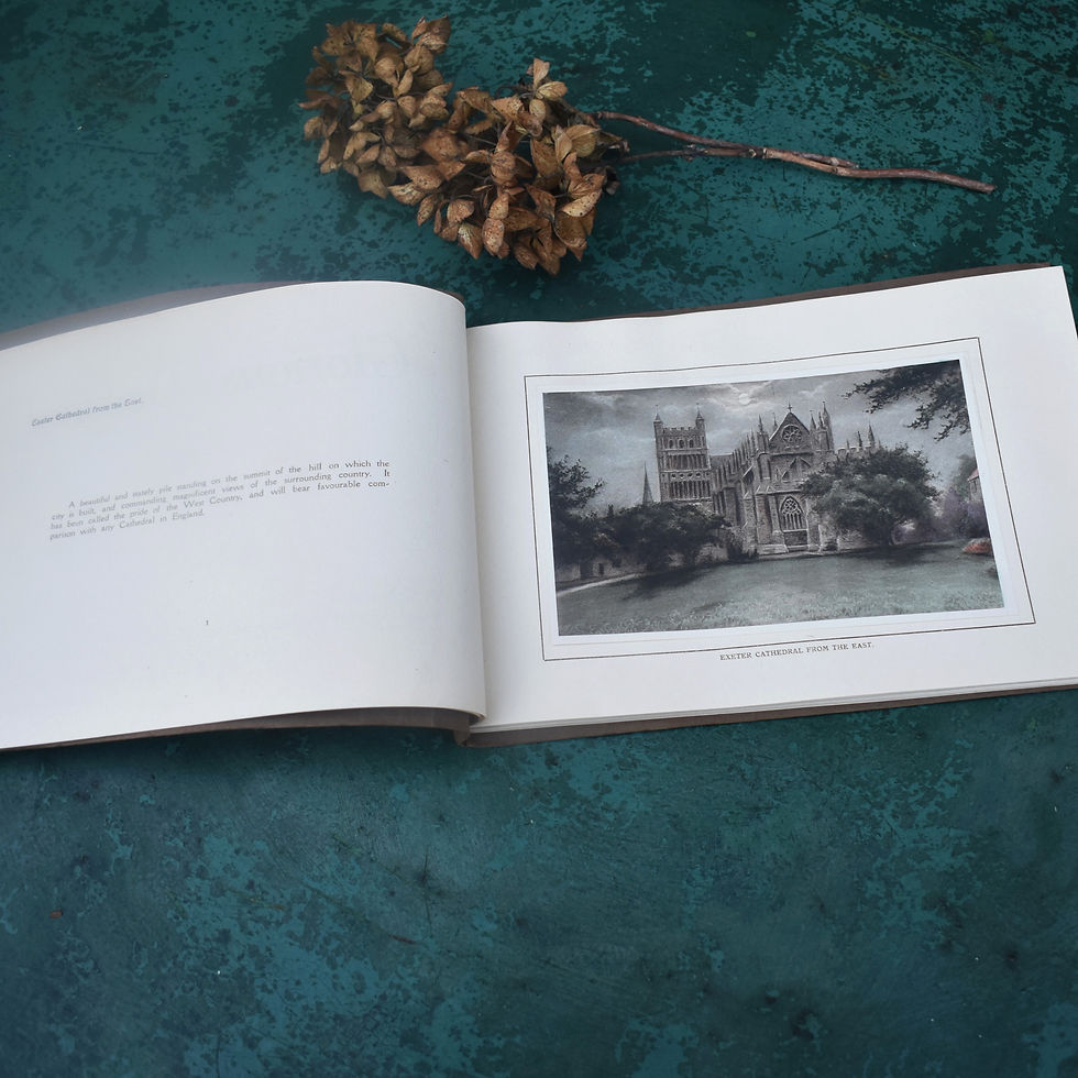 Thumbnail: Antique 1910 Glorious Devon Harvey Barton & Sons 18 Hand Coloured Fine Prints