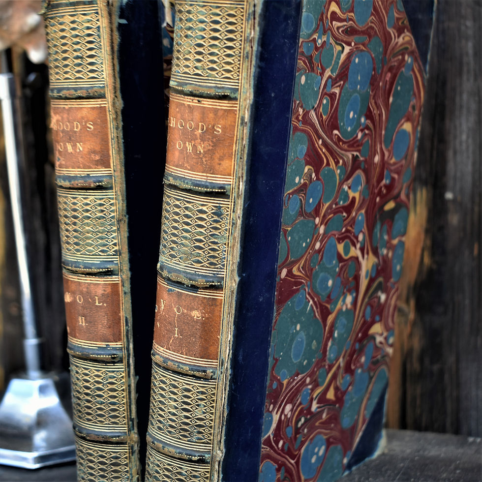 Thumbnail: Antique 1873 Hoods Own Laughter From Year to Year Leather Bound Books Two Vol