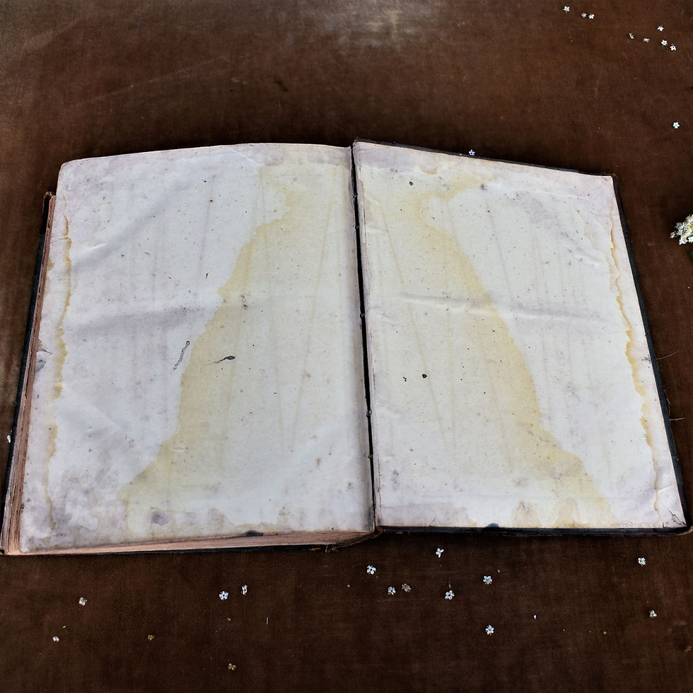 Thumbnail: Antique 1850s Life of Christ Rev John Fleetwood Leather Book Lovely Inscription