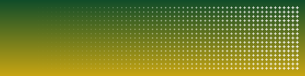 Brand gradient background green-gold plus pattern.png