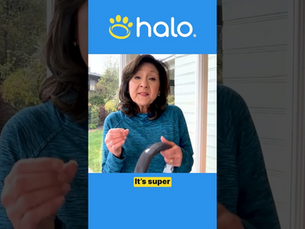 Halo Collar Review After Three Months of Everyday Use