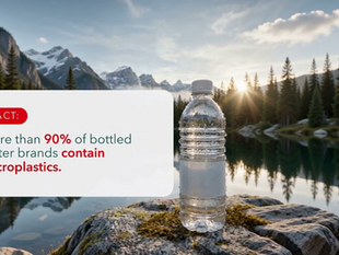 Drink Better Water Without Buying Bottles