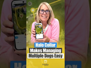 Halo Collar Lets Owners Control Two Dogs Using One App