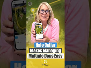 Halo Collar Lets Owners Control Two Dogs Using One App