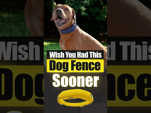 GPS Dog Fence in Seconds