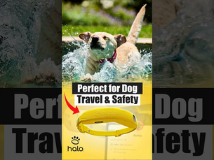 Travel Smart with GPS Fence