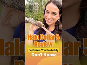 Halo Collar: Behavior, Accuracy, And Reliability