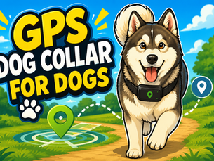 Smart GPS Collar for Pets