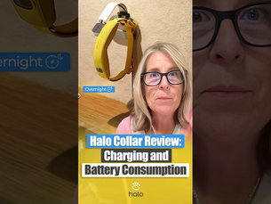 This Daily GPS Dog Collar Charging Routine May Surprise You