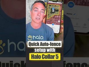 One-Touch Setup for Halo Collar Fence