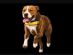 GPS Collar for Spacious Properties