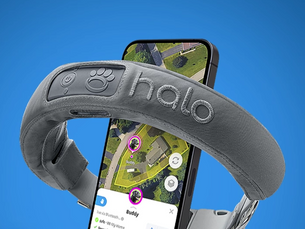 GPS Collar With Safe Dog Zones