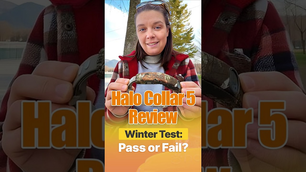 GPS Dog Collar Excellence or Just Another Hype Product?