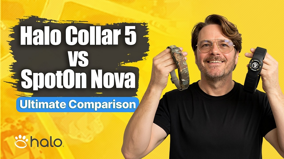 Halo Collar 5 vs SpotOn Nova Guide