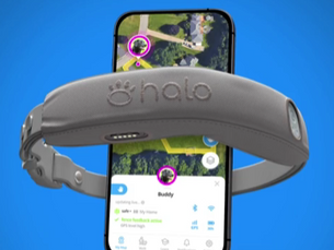 Meet The All-New Halo Collar