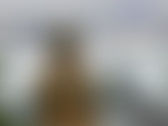 Insólito: Ucrania alcanzó objetivos rusos cerca de la central nuclear donde están expertos de la ONU