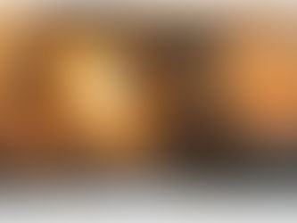 Israel decidió ingresar con las fuerzas de defensa en la Franja de Gaza y terminar el acoso de Hamas