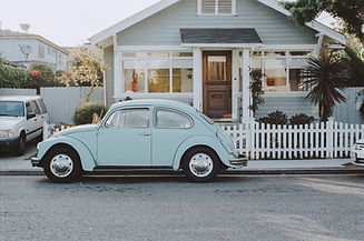 Beetle