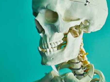 THE SCIENCE OF BULLYING. By Vanessa Van Edwards