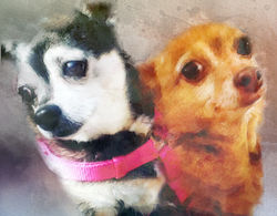 Jacuzzi and Ranna WATERCOLORS