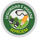 logo BÁSICO DE SEGURIDAD E HIGIENE.png