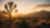 ChatGPT Image May 18, 2026, 01_06_05 PM.png