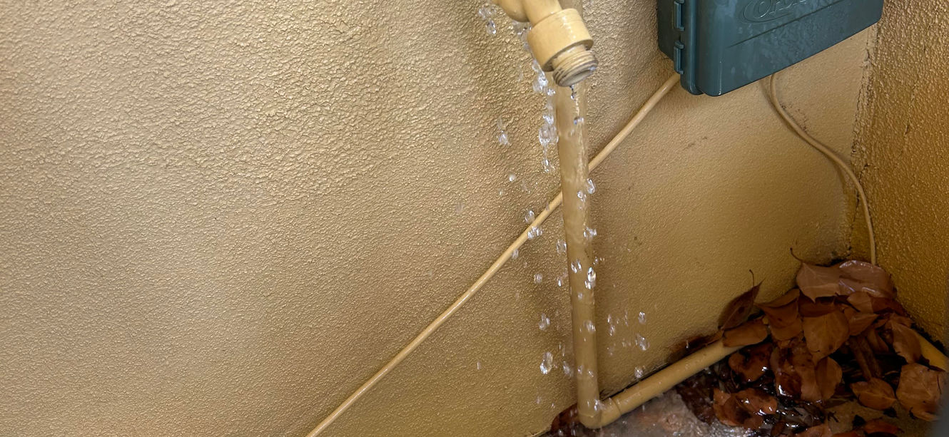 Observation of water leakage at an exterior faucet during a scheduled home watch visit, documented for homeowner review.