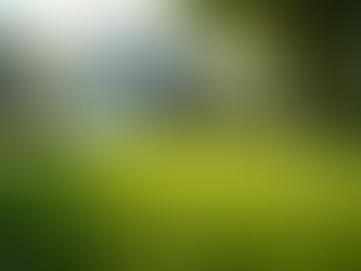 Why Home Watch Services Are Essential