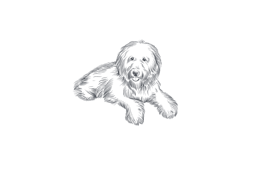 luna bear png_edited.png