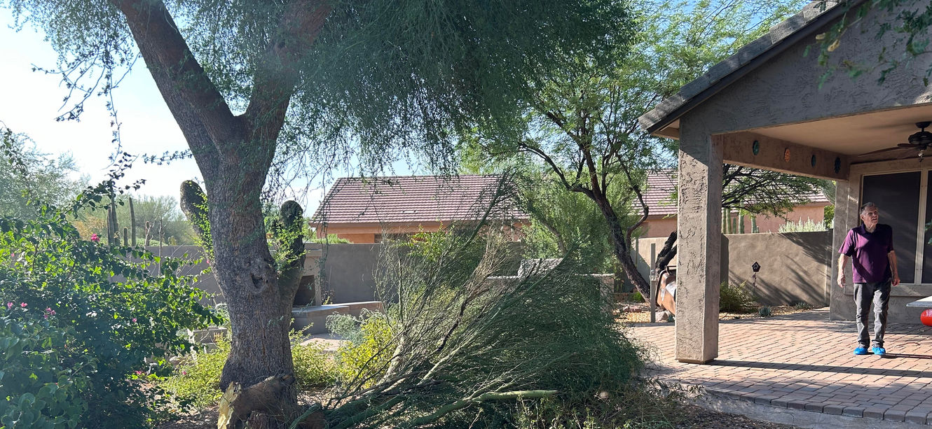 Yard & Property Condition Check