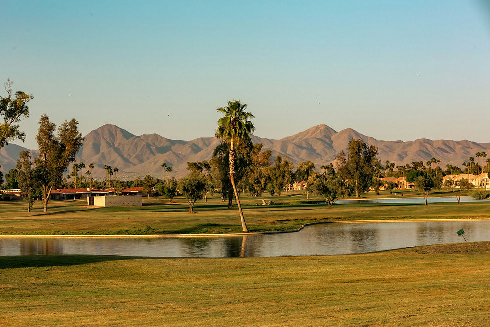 Fountain Hills Homes, Watched with Care