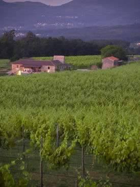 Nueva Bodega | Quinta Edmun Do Val