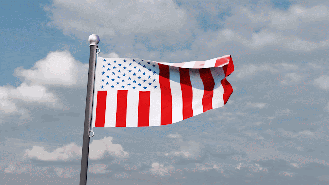 US civil flag of peace.gif