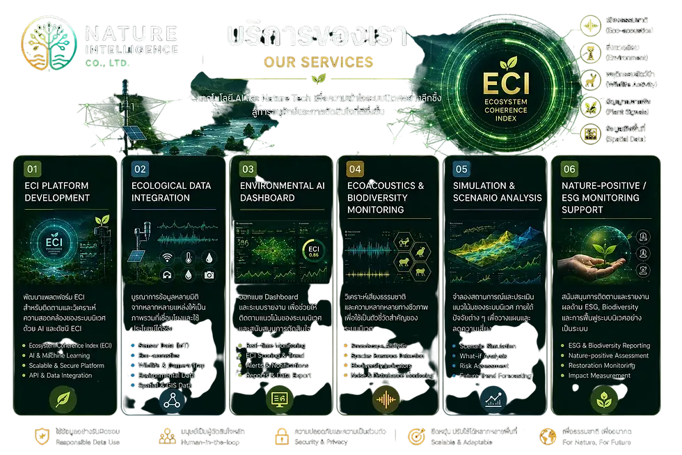 บริการของ Nature Intelligence แพลตฟอร์มติดตามสิ่งแวดล้อมด้วย AI