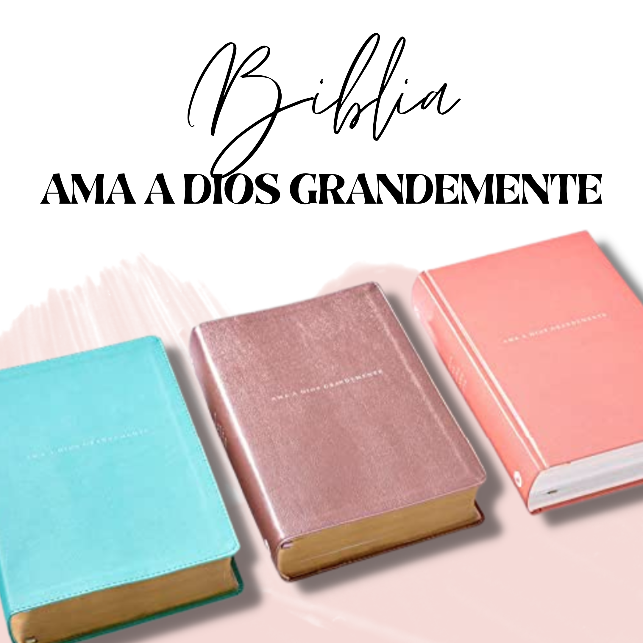 Biblia NBLA Ama a Dios Grandemente