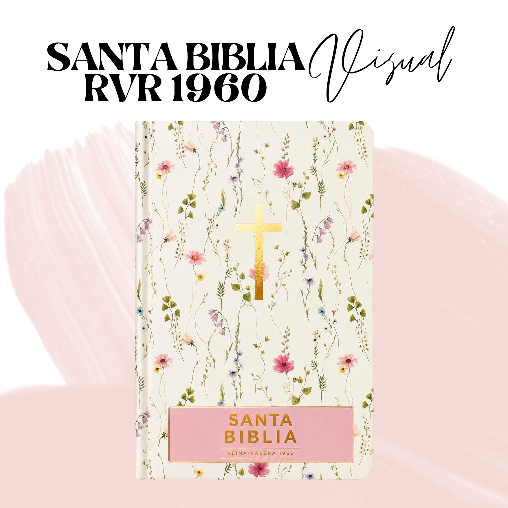 SANTA BIBLIA RVR 1960 VISUAL