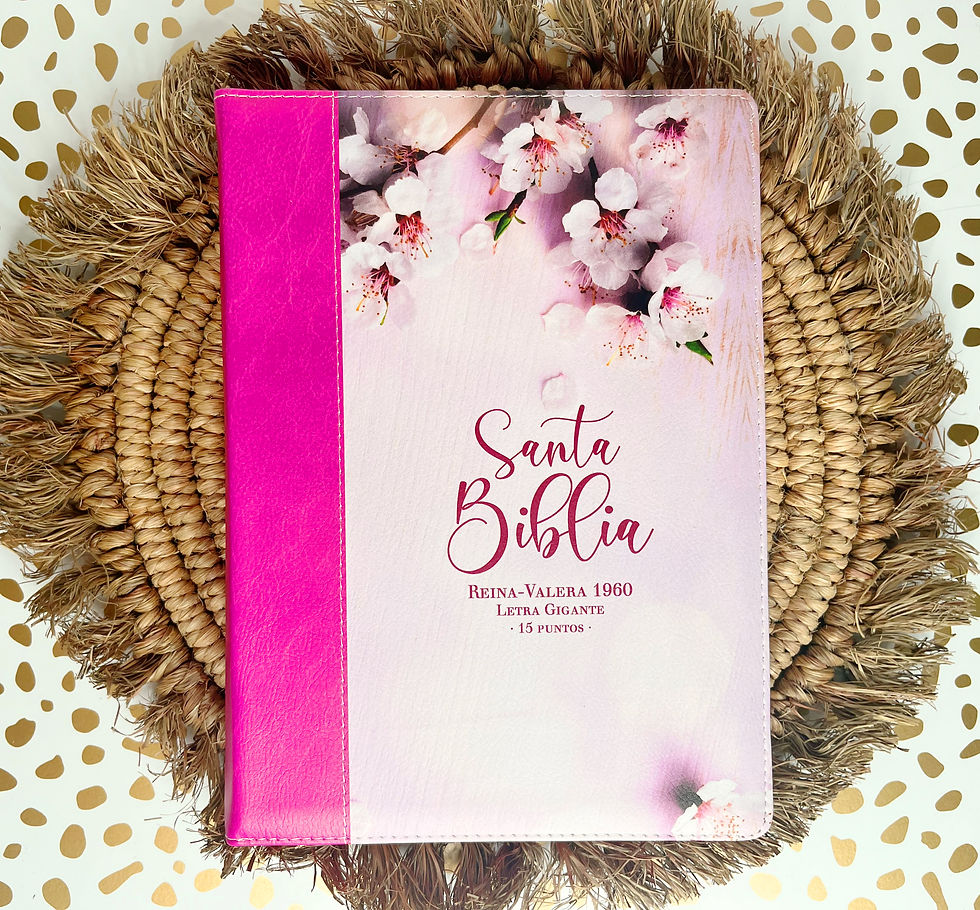 Biblia con Cierre Letra Gigante 14 puntos RV1960 con índices