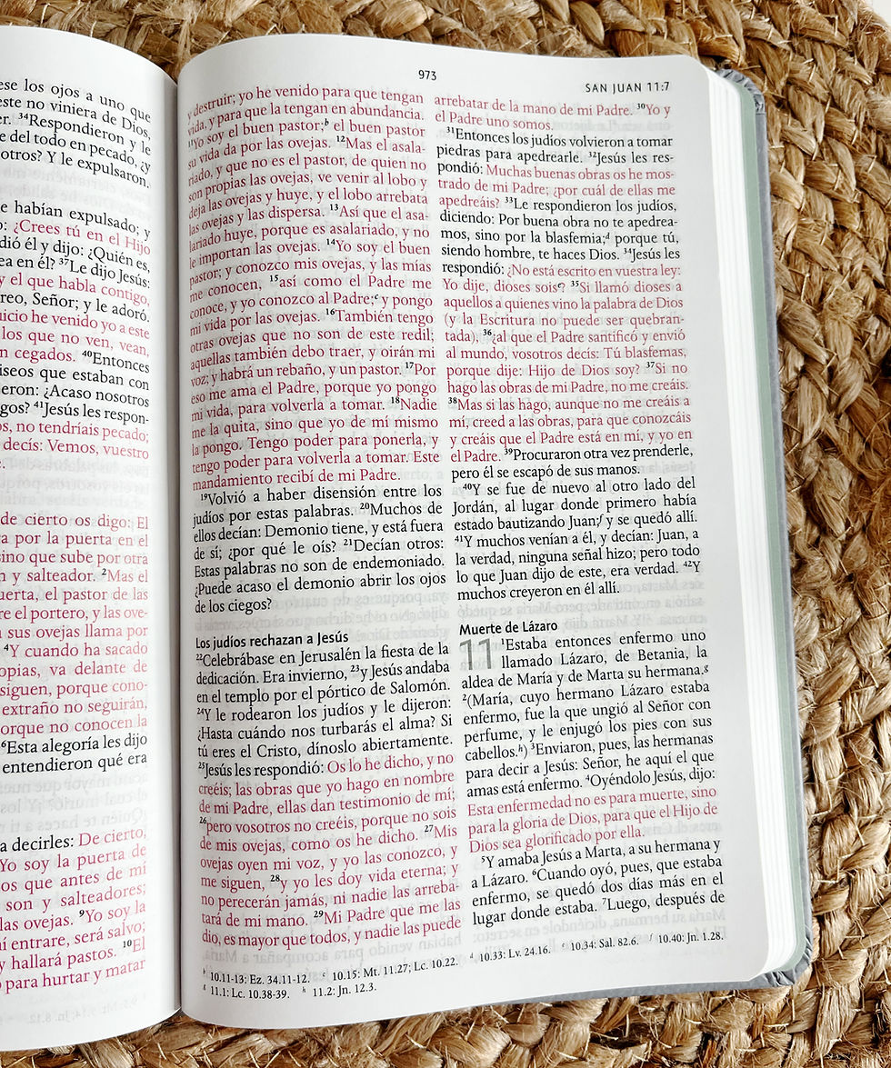 Thumbnail: Biblia RVR 1960 letra grande | Leon 