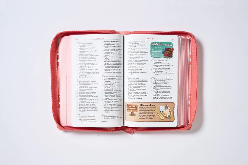 Miniatura: Biblia Aventura NBLA