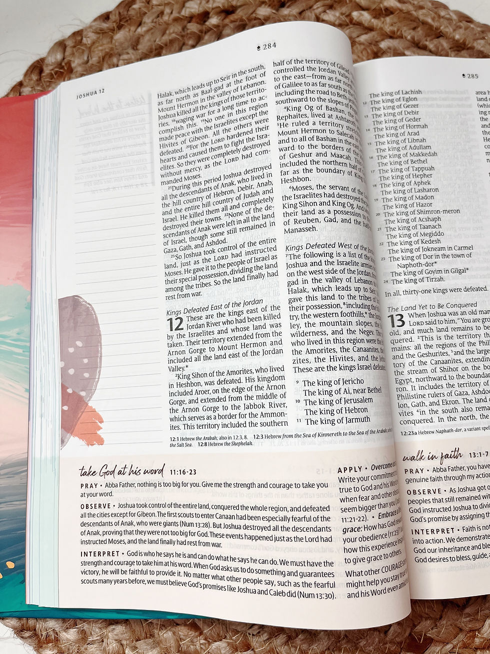 Thumbnail: NLT Courage For Life Study Bible for Women