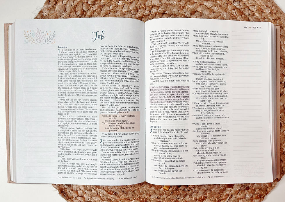 Miniatura: NIV Radiant Virtues Bible: A Beautiful Word Collection