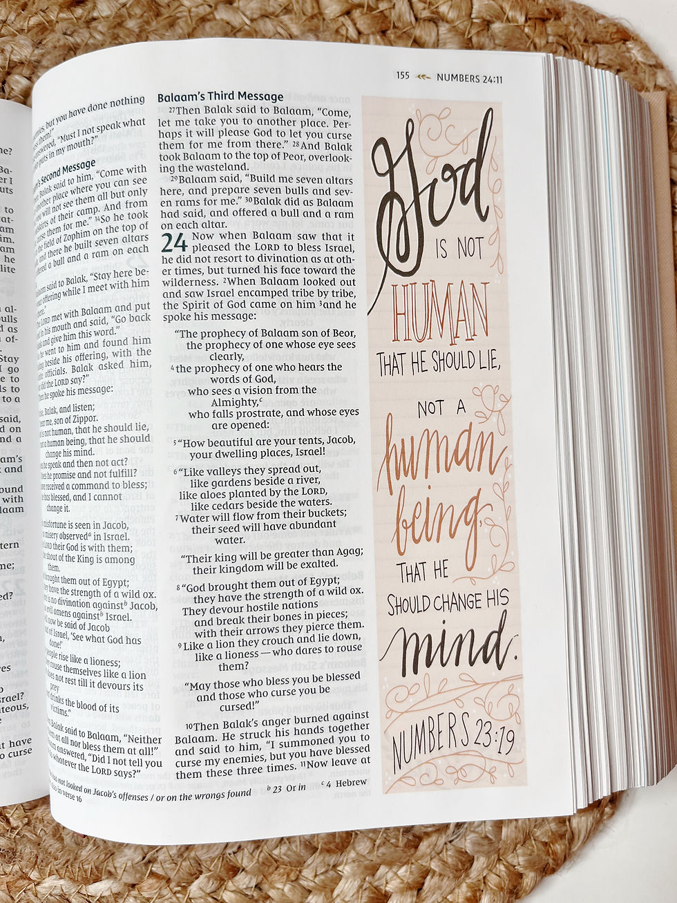 Miniatura: NIV Radiant Virtues Bible: A Beautiful Word Collection